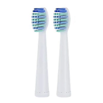 Extra borsthuvud (2-pack)